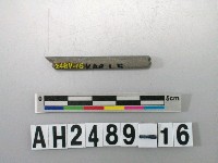 藏品(磨製石針)的圖片